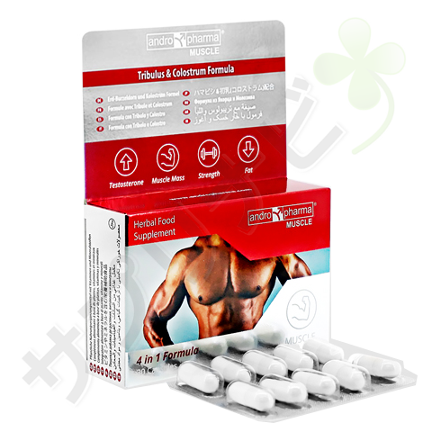 ファーミア・マッスル30錠 | AndroPharma Muscle 30tablets one 90 錠